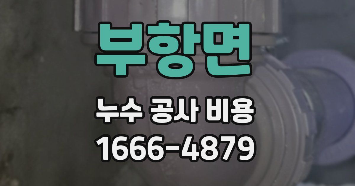 부항면 누수 공사 비용