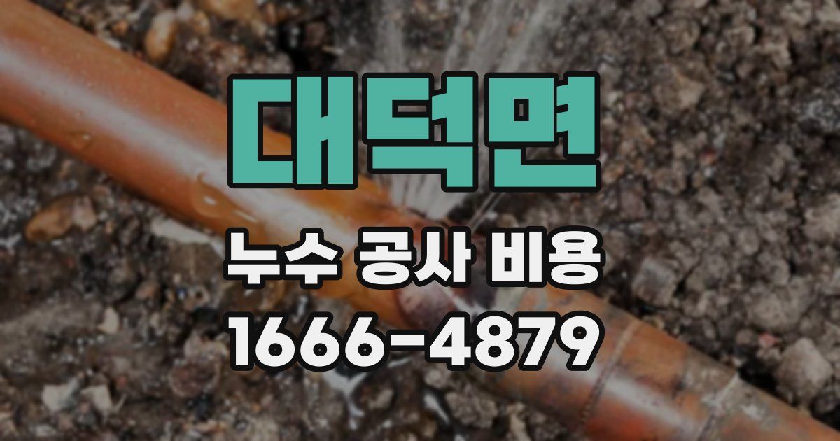 대덕면 누수 공사 비용
