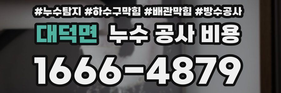 대덕면 누수 공사 비용