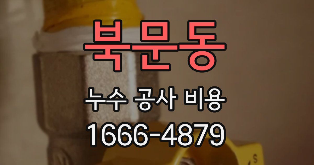 북문동 누수 공사 비용