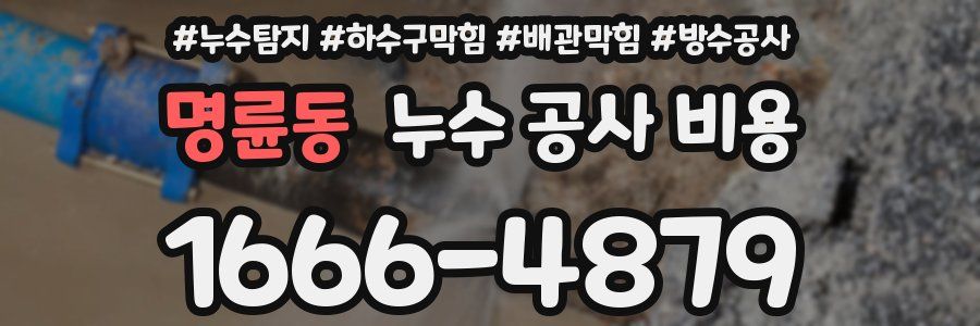 명륜동 누수 공사 비용