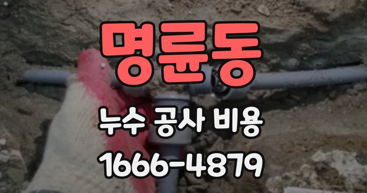 명륜동 누수 공사 비용