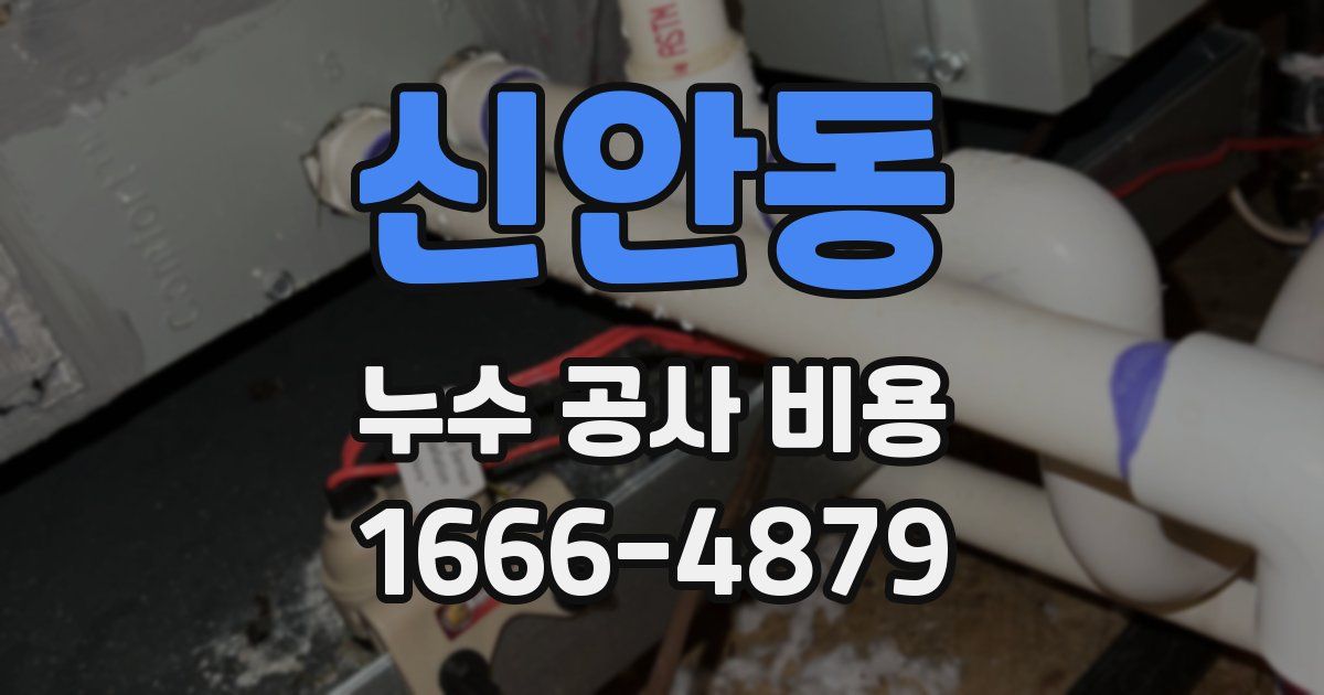 신안동 누수 공사 비용