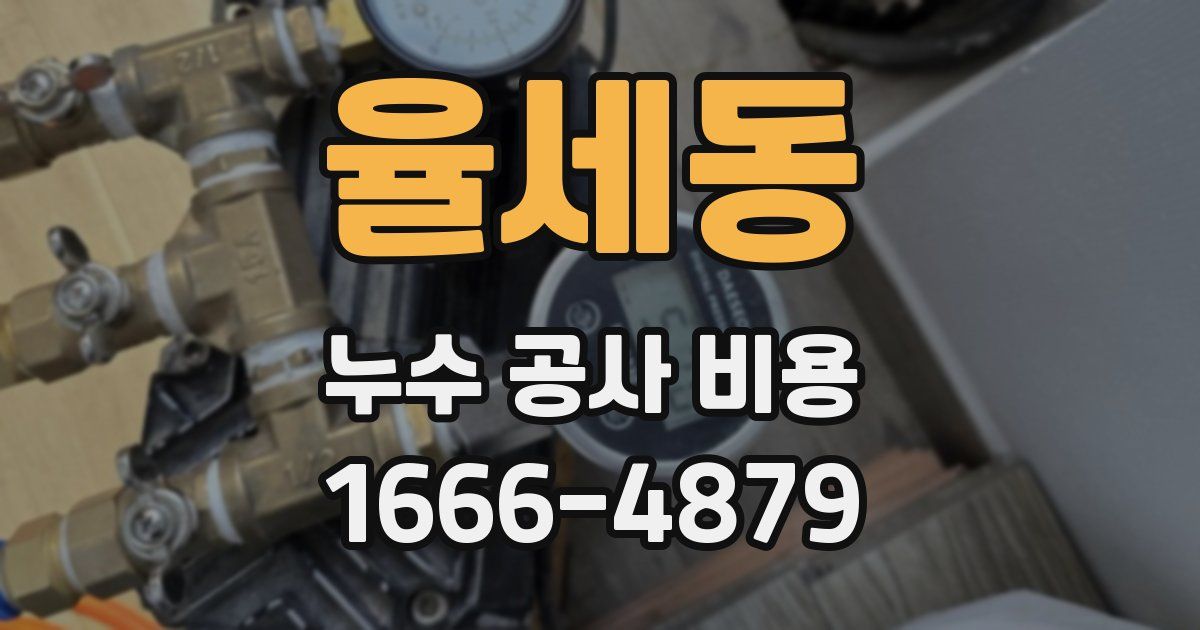 율세동 누수 공사 비용