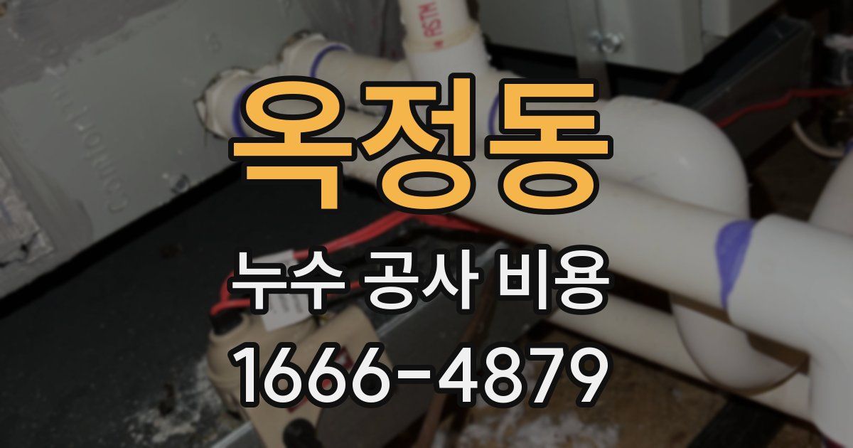 옥정동 누수 공사 비용