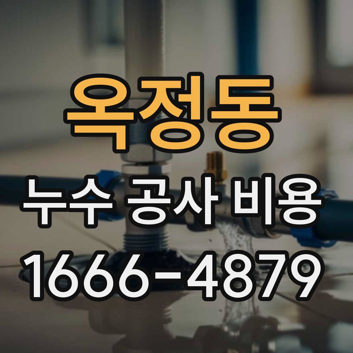 옥정동 누수 공사 비용