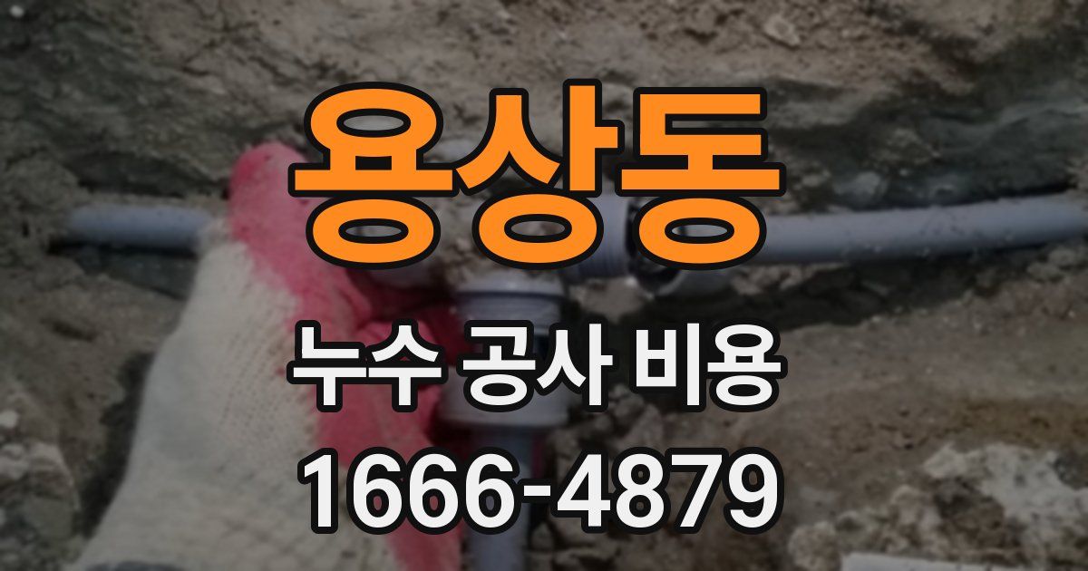 용상동 누수 공사 비용