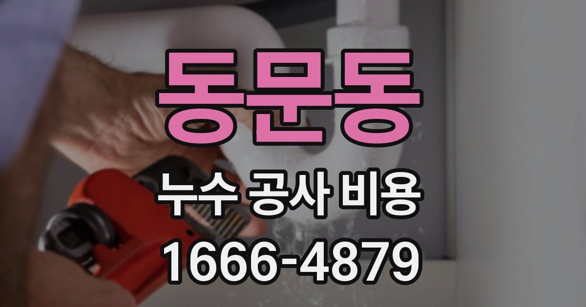 동문동 누수 공사 비용