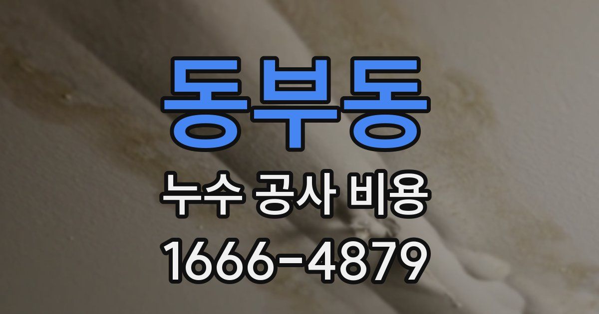동부동 누수 공사 비용
