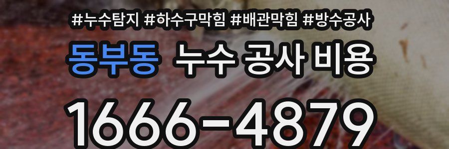 동부동 누수 공사 비용