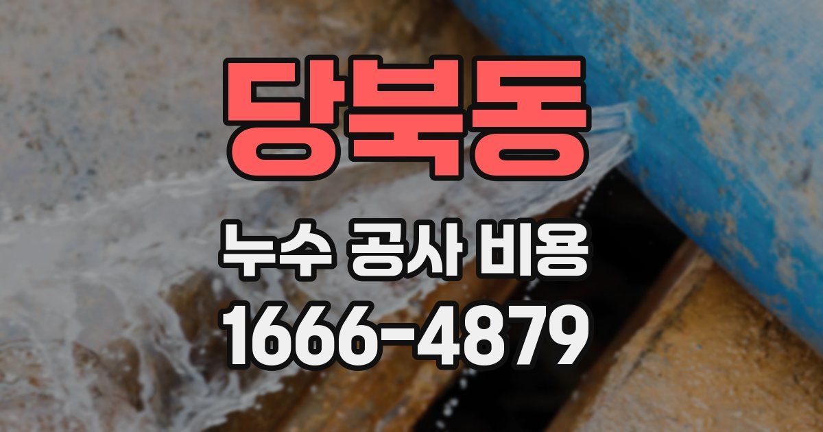 당북동 누수 공사 비용