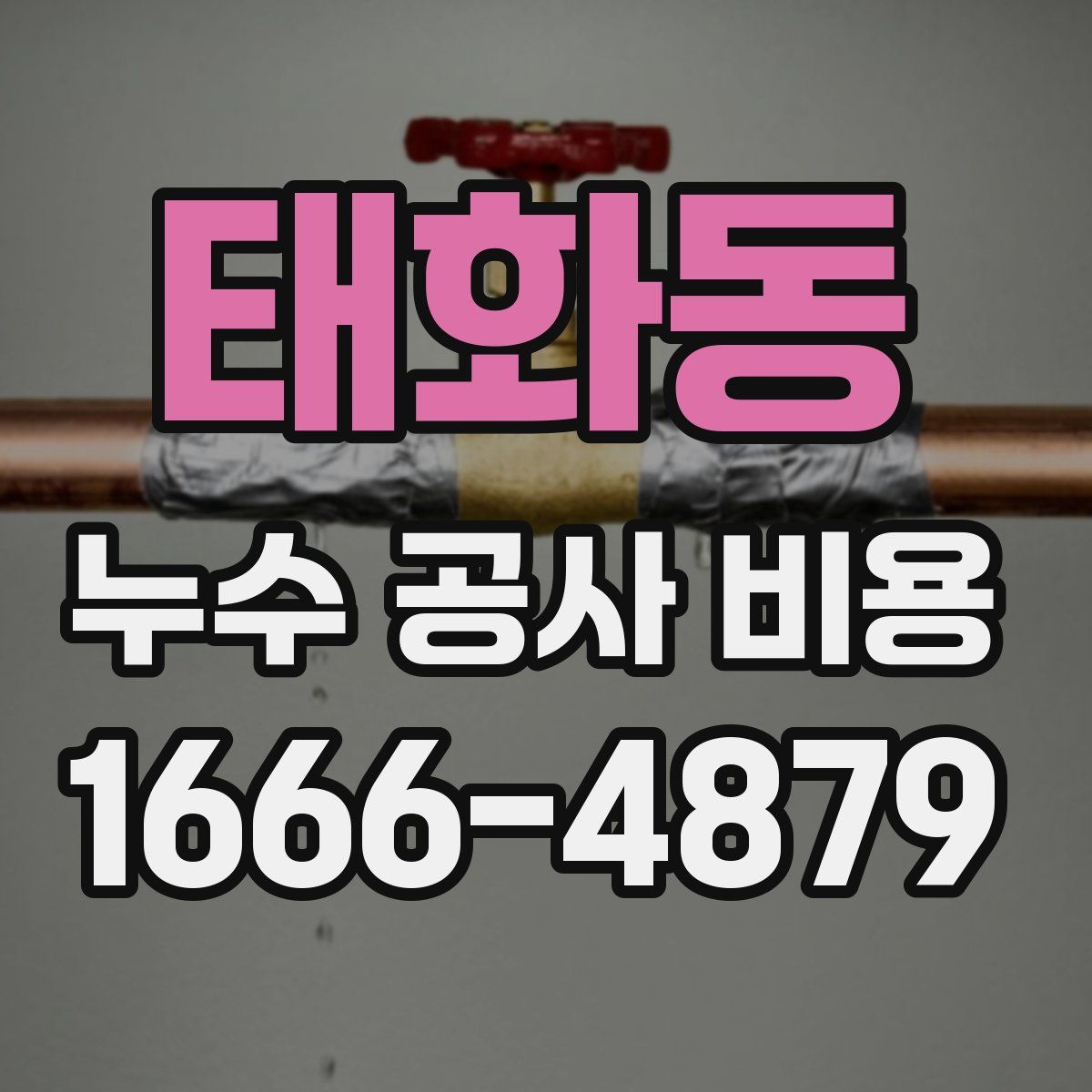 태화동 누수 공사 비용