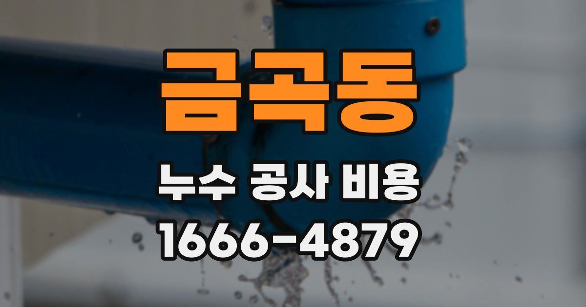 금곡동 누수 공사 비용