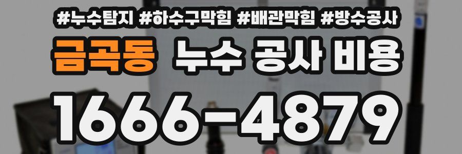 금곡동 누수 공사 비용