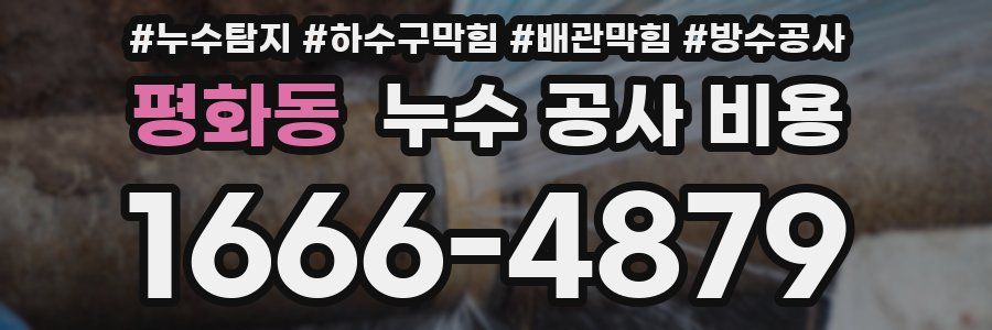 평화동 누수 공사 비용