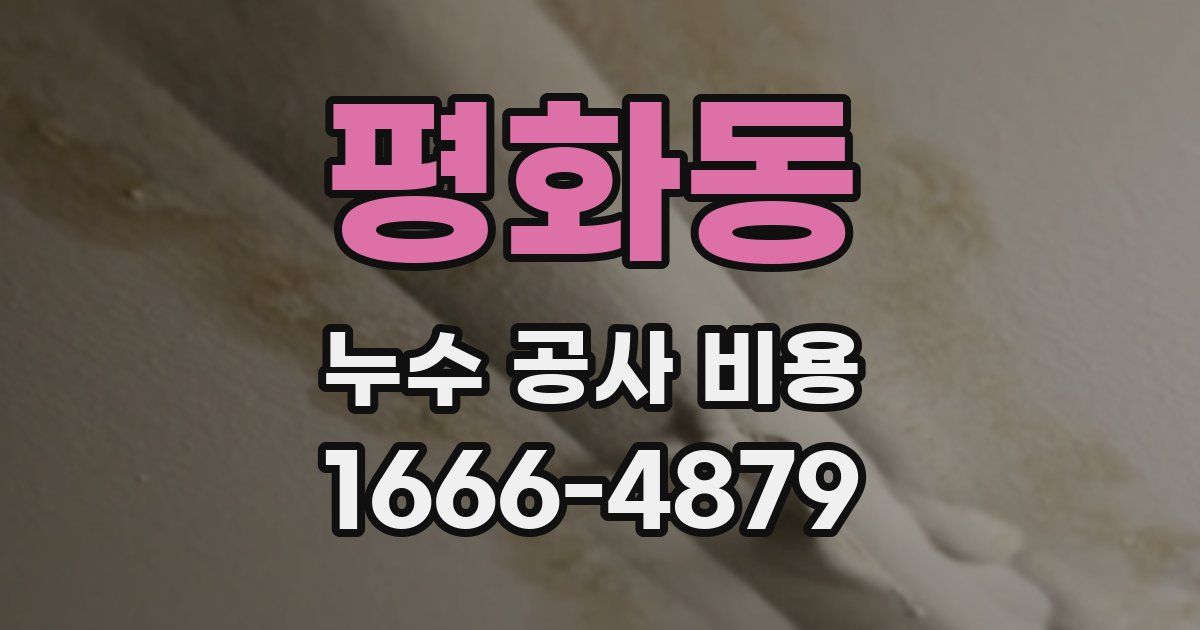 평화동 누수 공사 비용