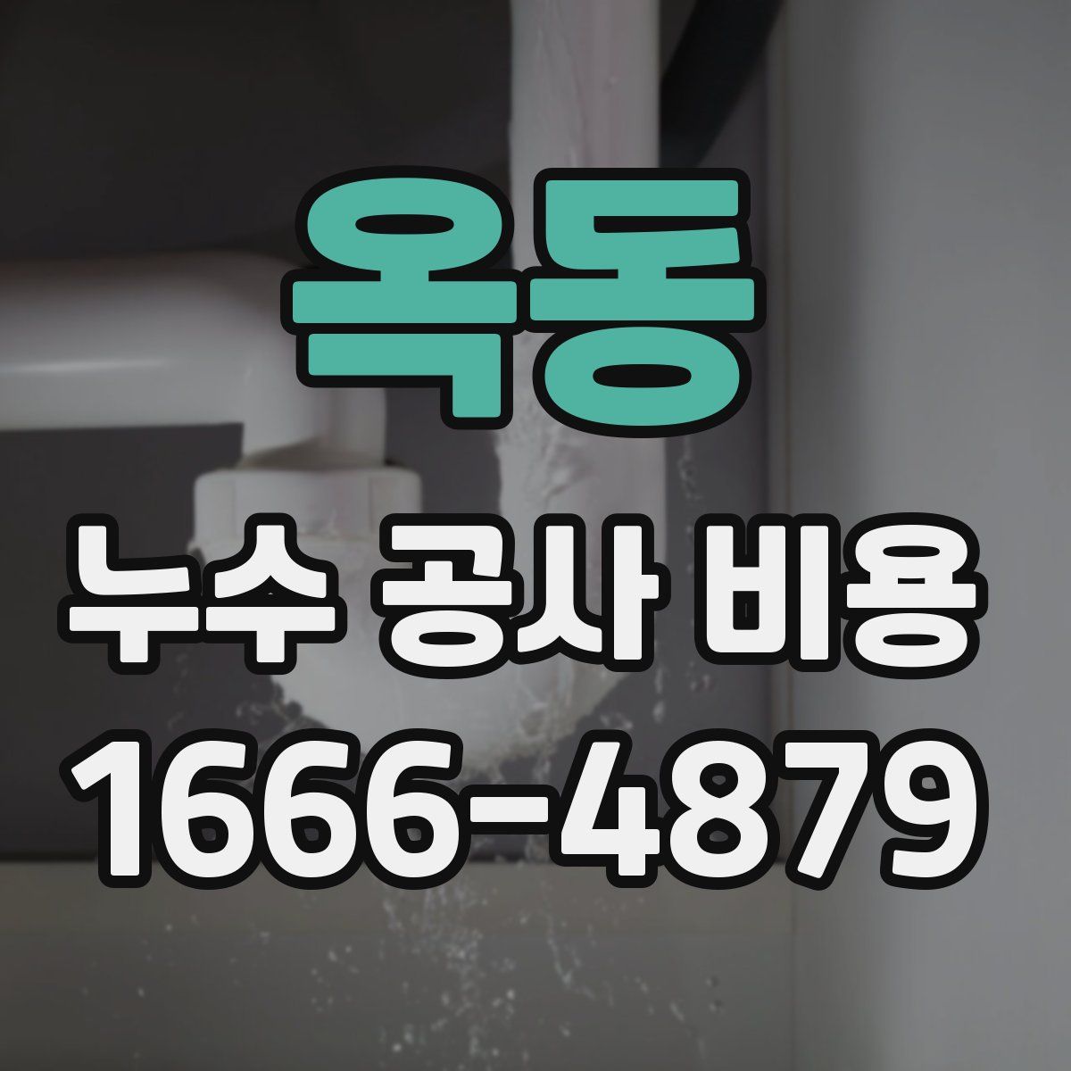 옥동 누수 공사 비용