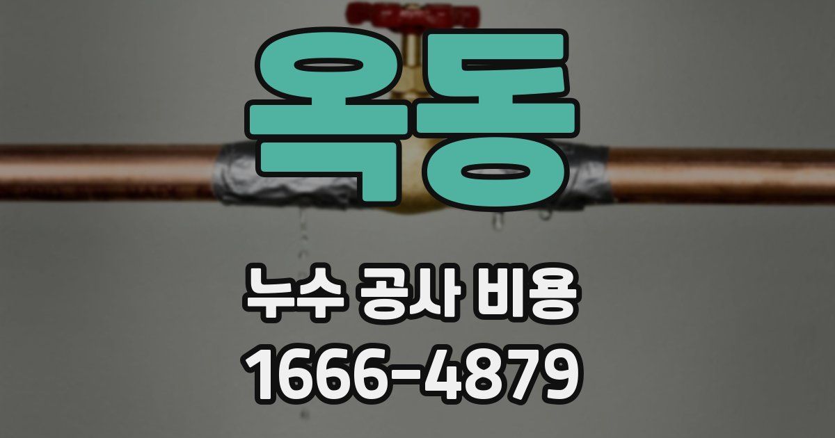 옥동 누수 공사 비용