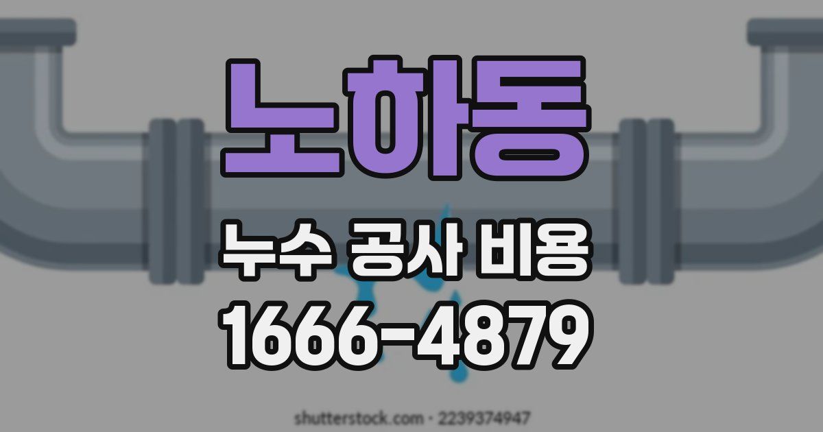 노하동 누수 공사 비용