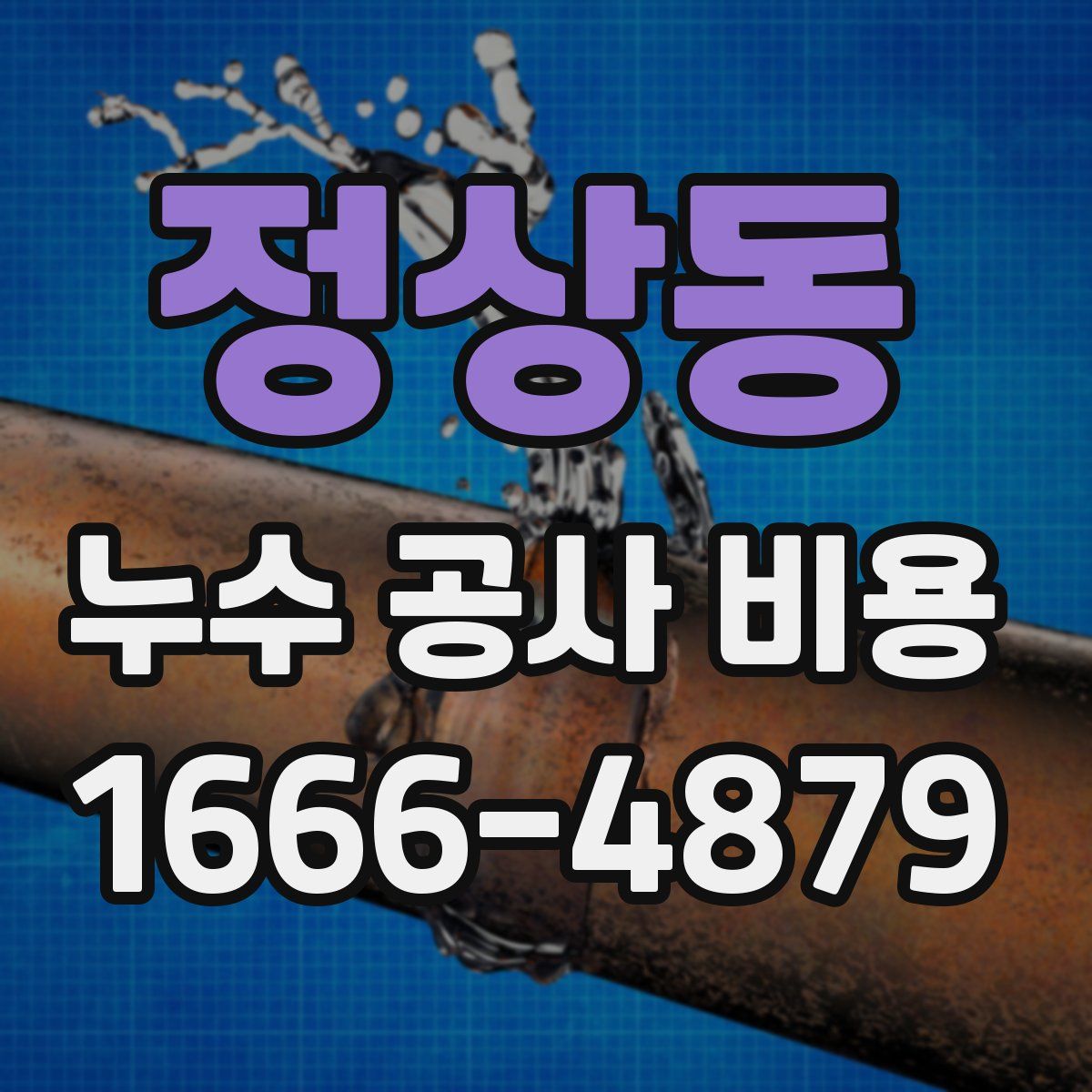 정상동 누수 공사 비용