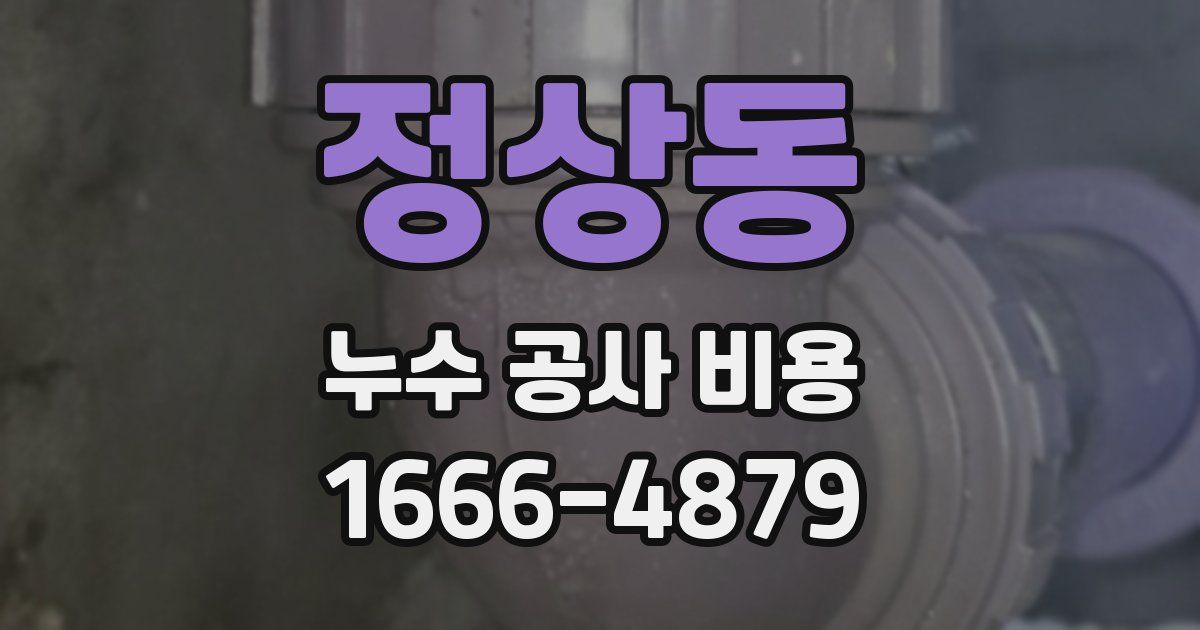 정상동 누수 공사 비용
