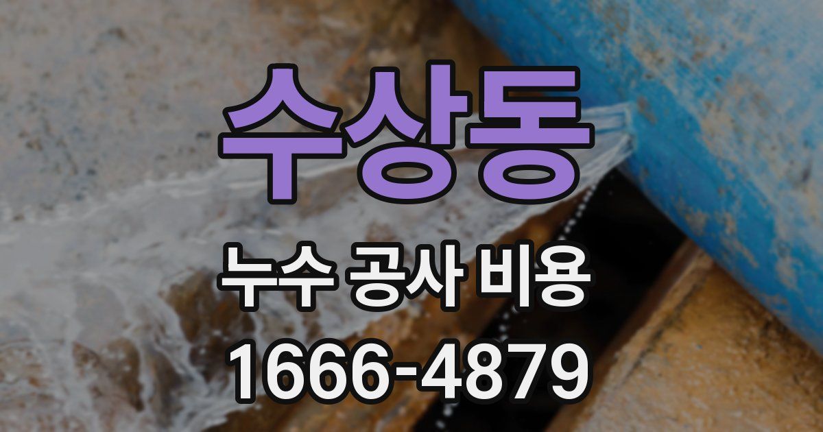수상동 누수 공사 비용