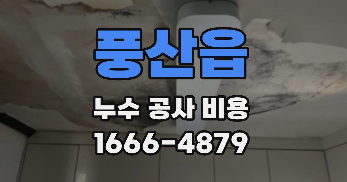 풍산읍 누수 공사 비용
