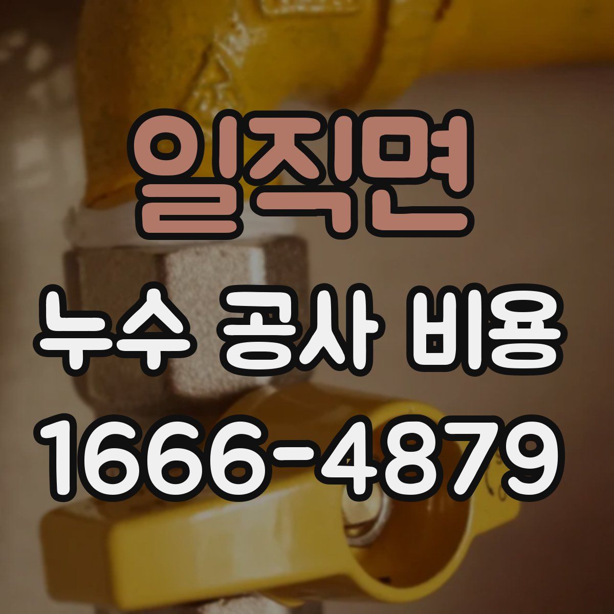 일직면 누수 공사 비용
