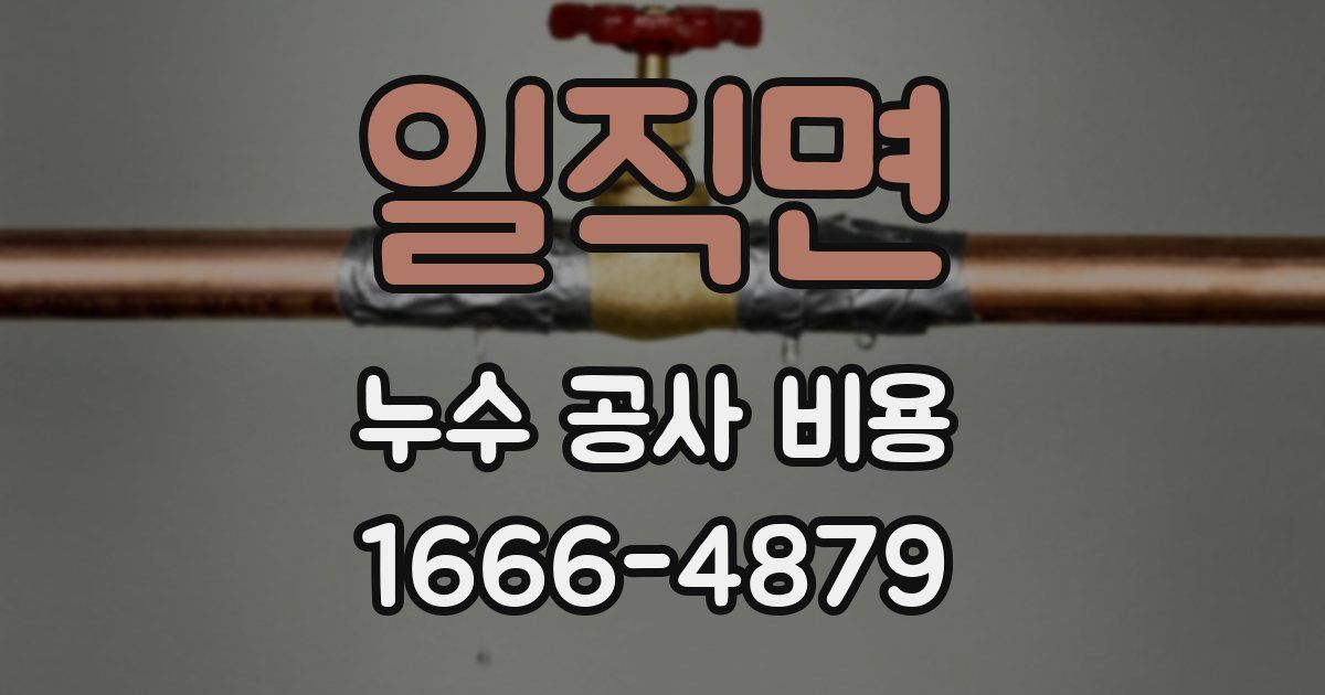 일직면 누수 공사 비용