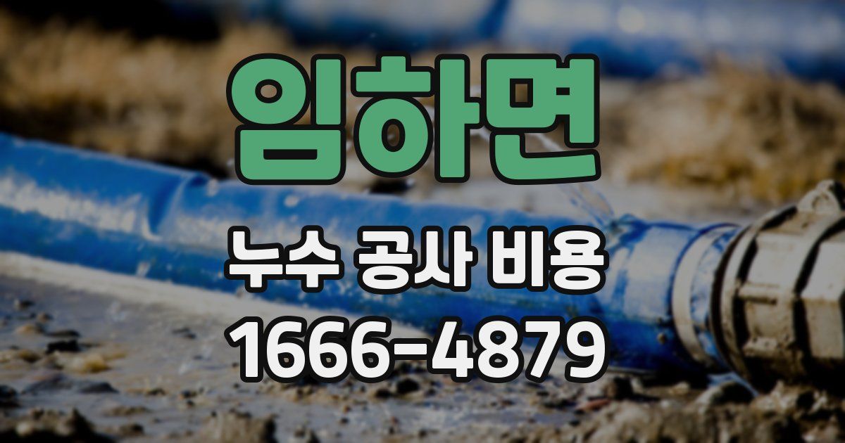 임하면 누수 공사 비용