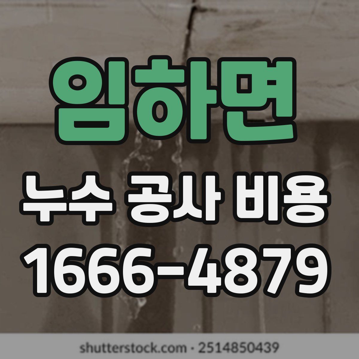 임하면 누수 공사 비용