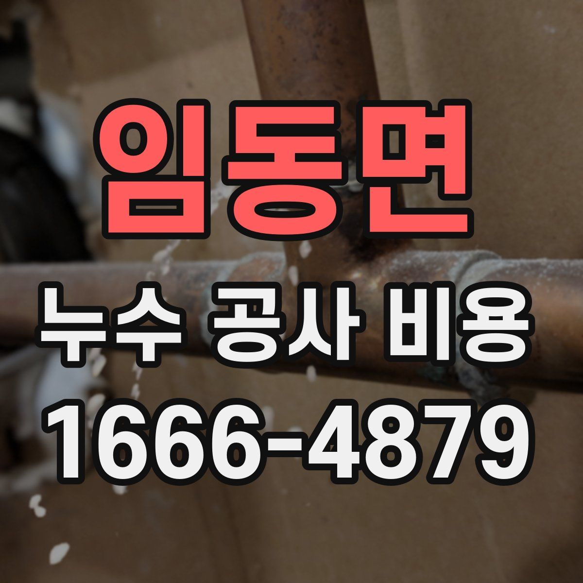 임동면 누수 공사 비용