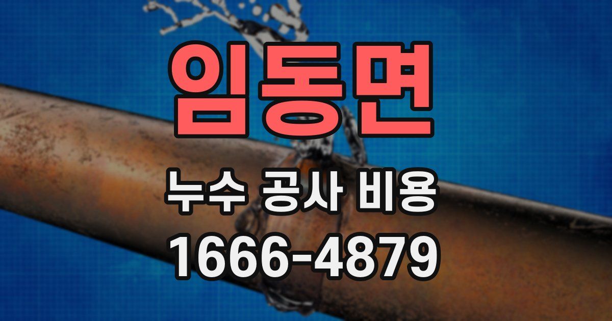 임동면 누수 공사 비용