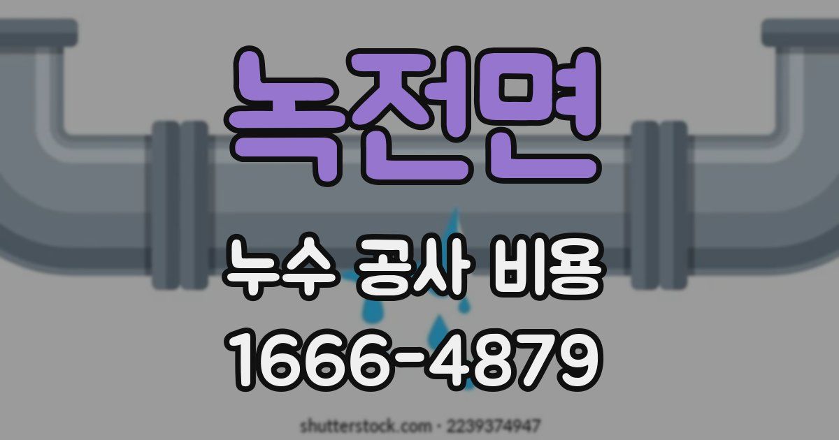 녹전면 누수 공사 비용