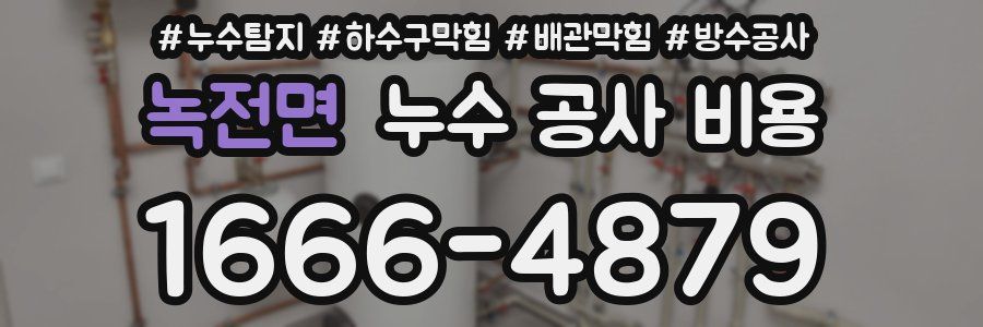 녹전면 누수 공사 비용