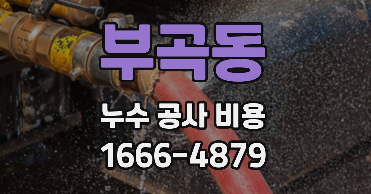 부곡동 누수 공사 비용