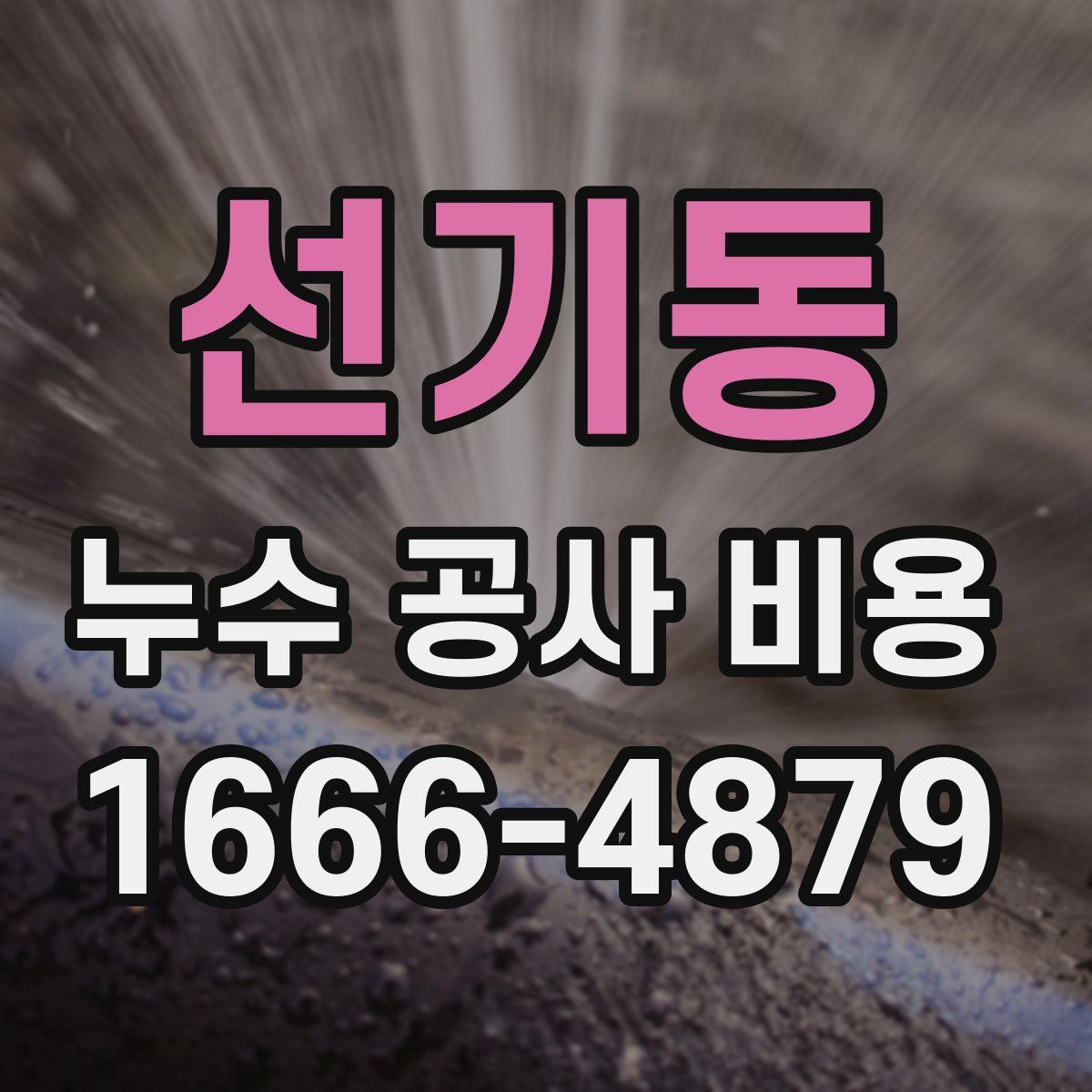 선기동 누수 공사 비용