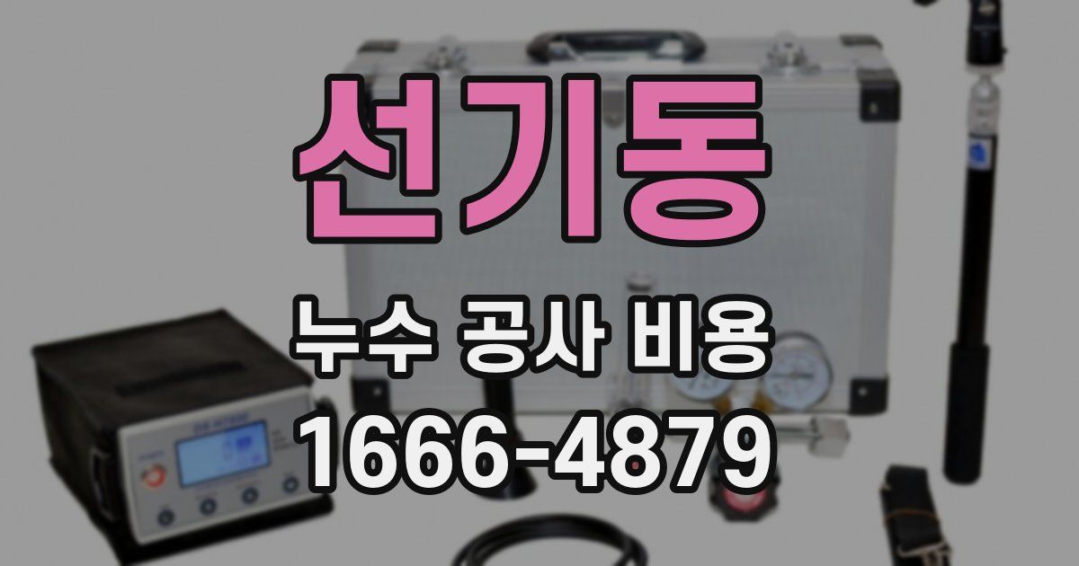 선기동 누수 공사 비용
