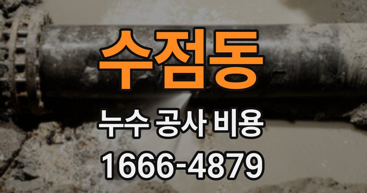 수점동 누수 공사 비용