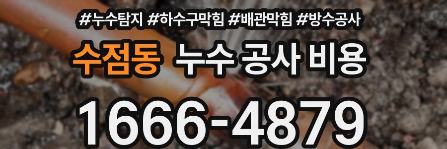 수점동 누수 공사 비용