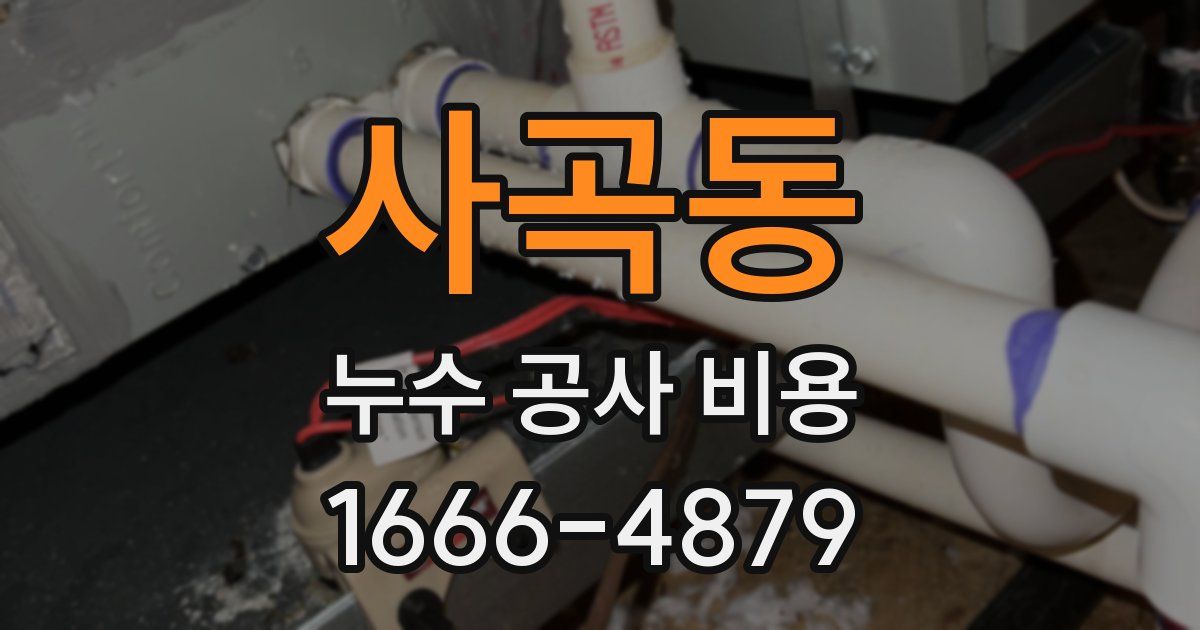 사곡동 누수 공사 비용