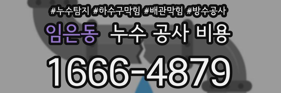 임은동 누수 공사 비용
