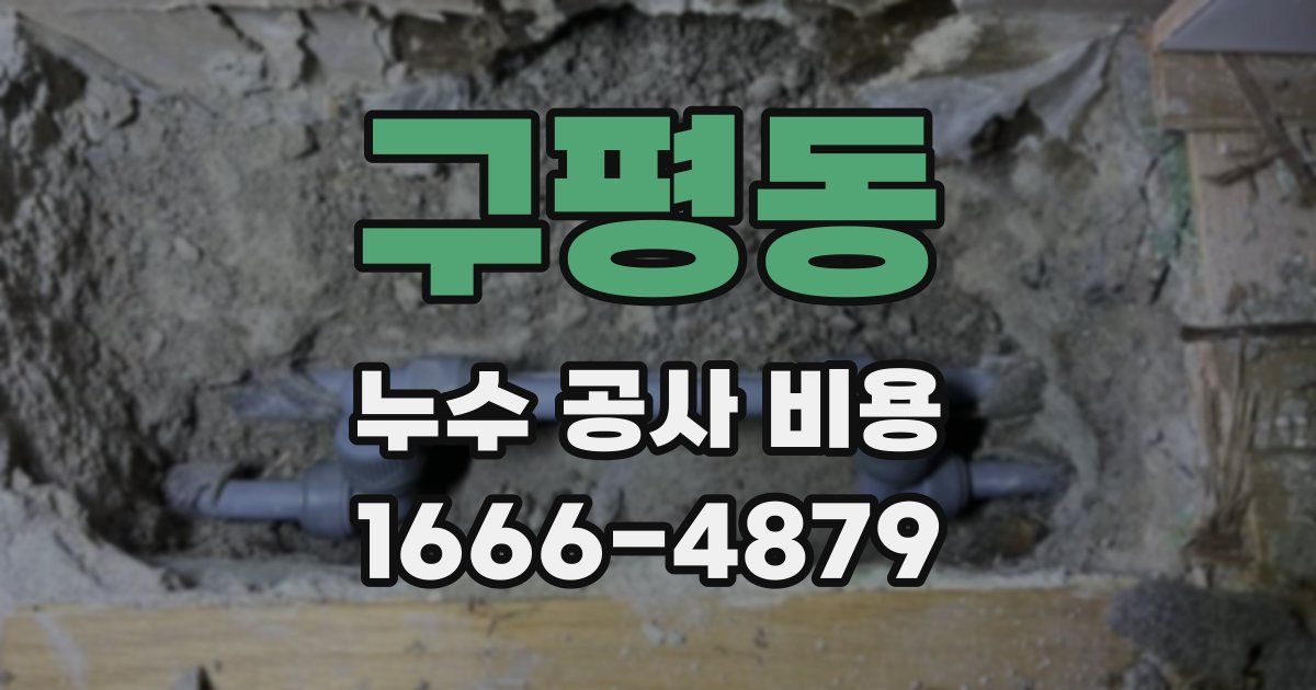구평동 누수 공사 비용