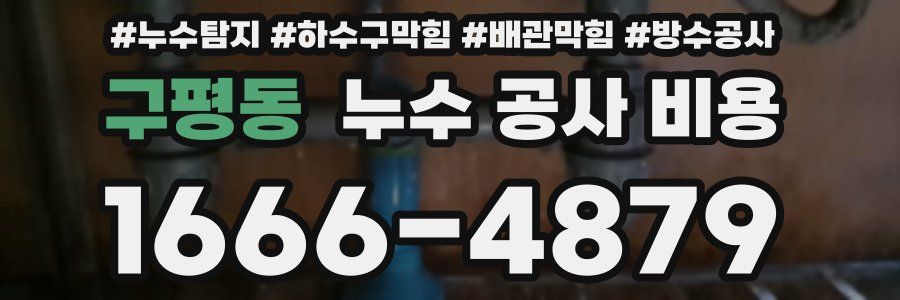 구평동 누수 공사 비용