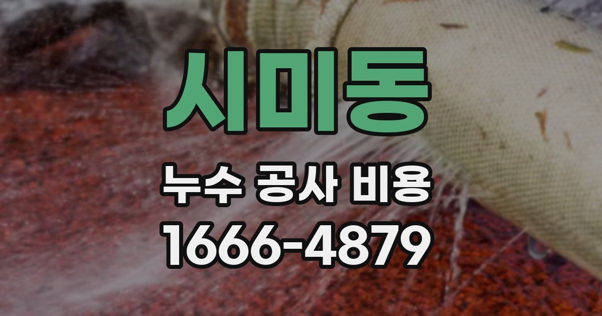 시미동 누수 공사 비용