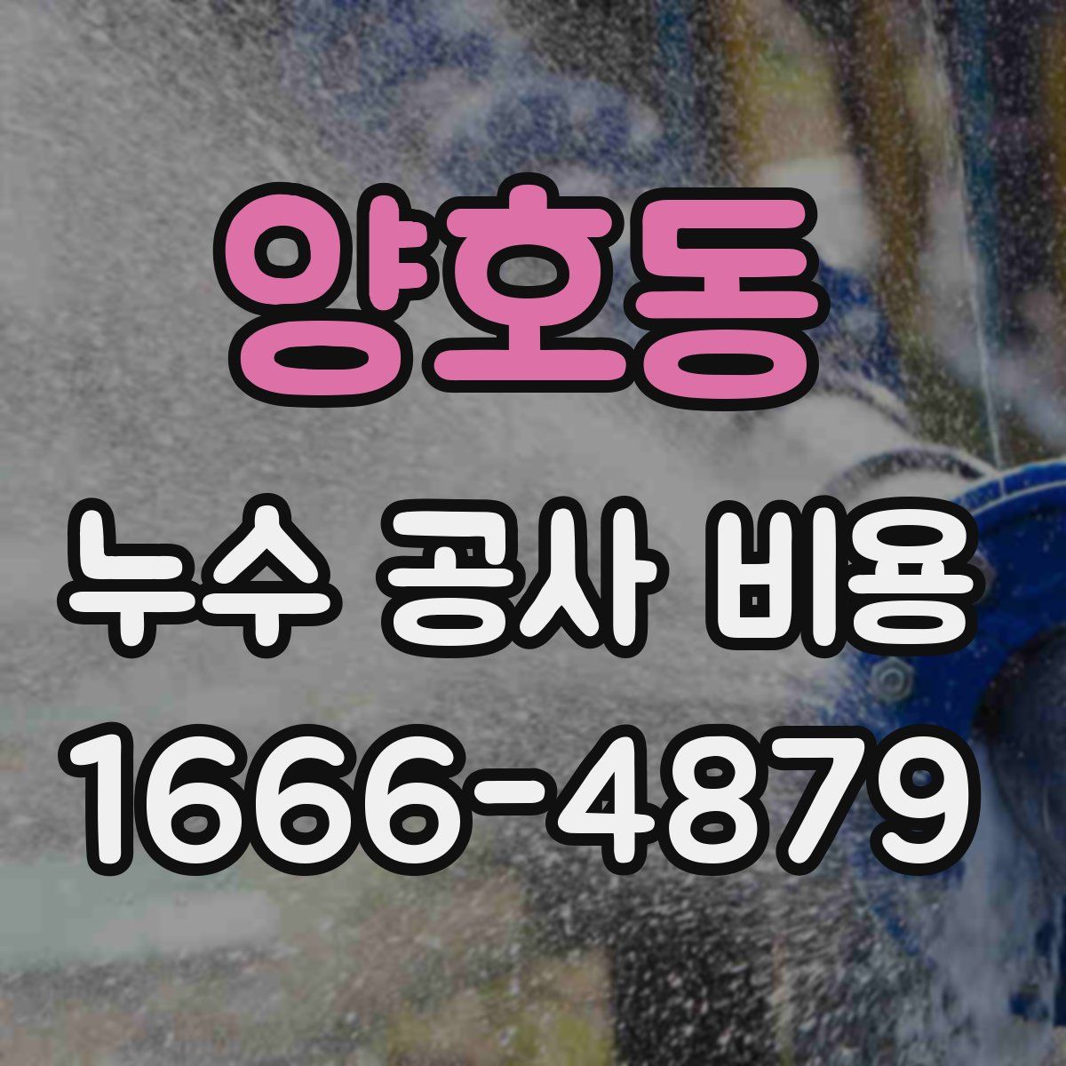 양호동 누수 공사 비용