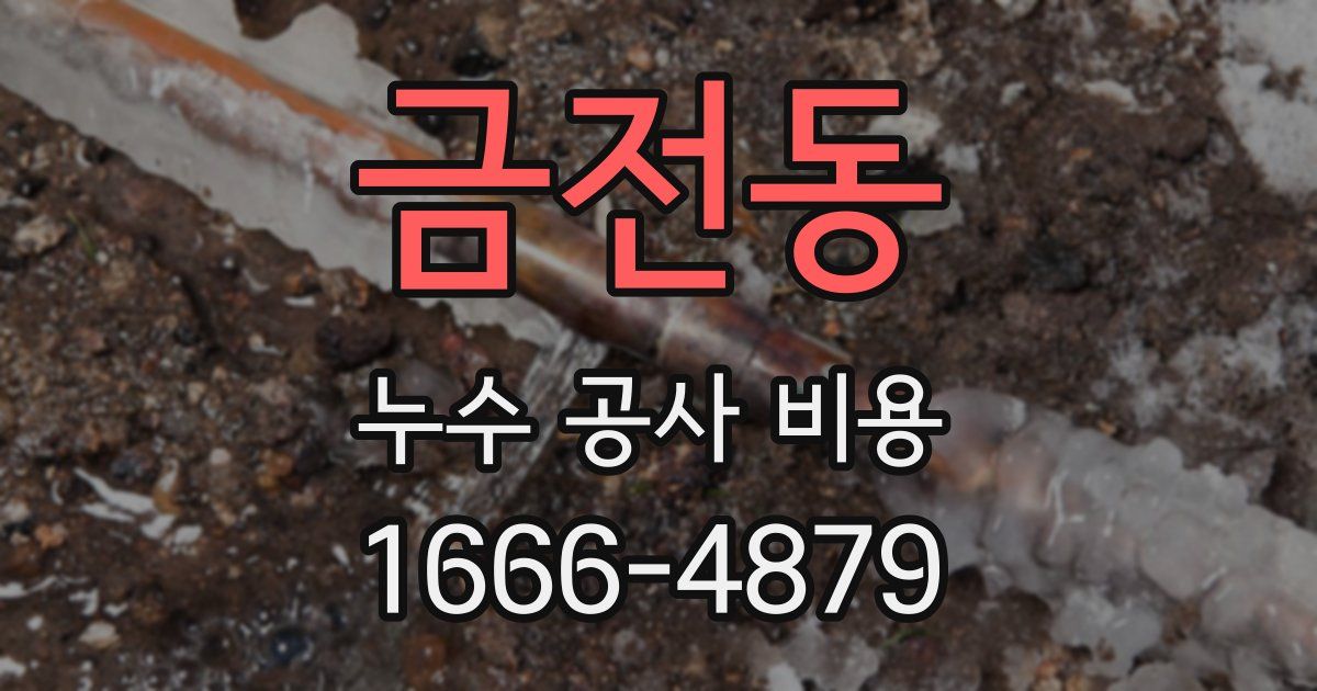 금전동 누수 공사 비용