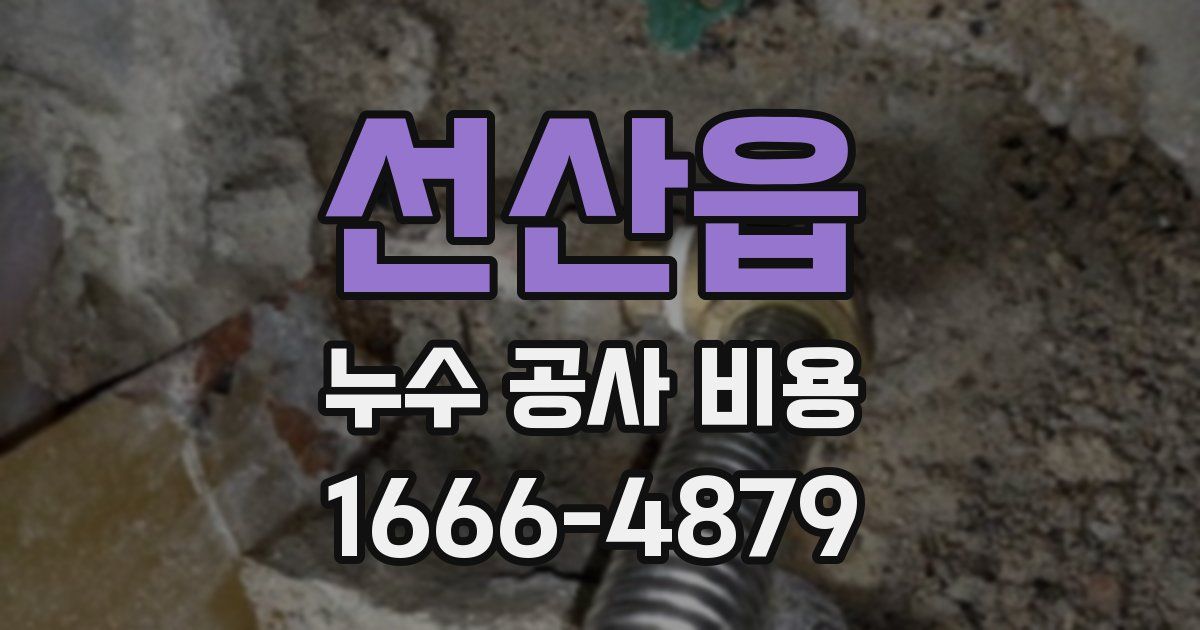 선산읍 누수 공사 비용