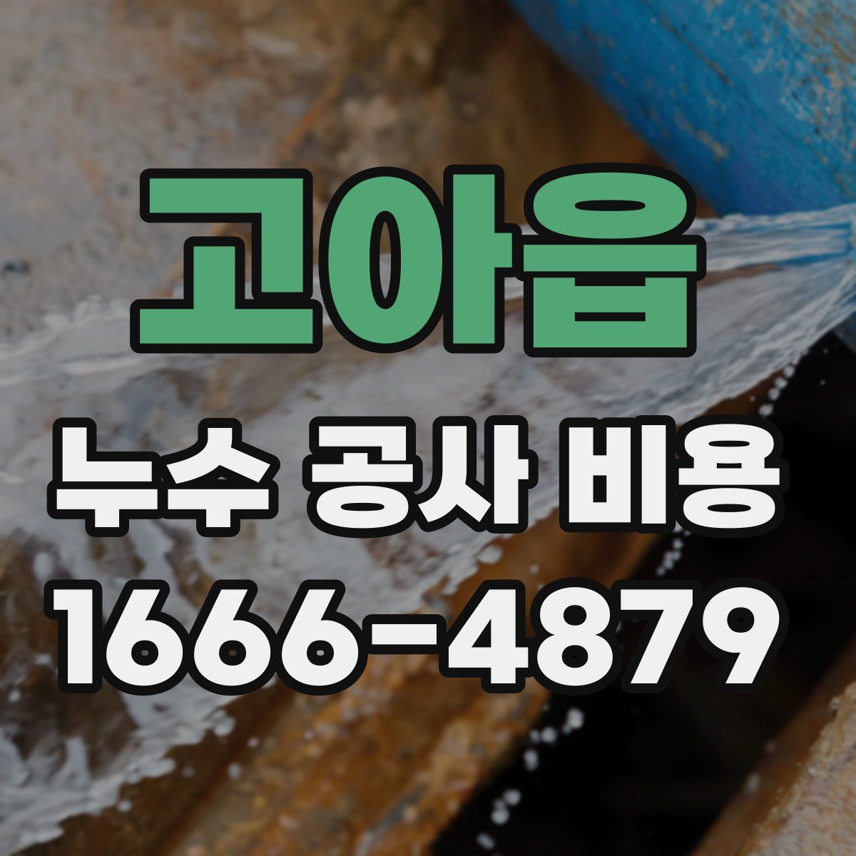 고아읍 누수 공사 비용