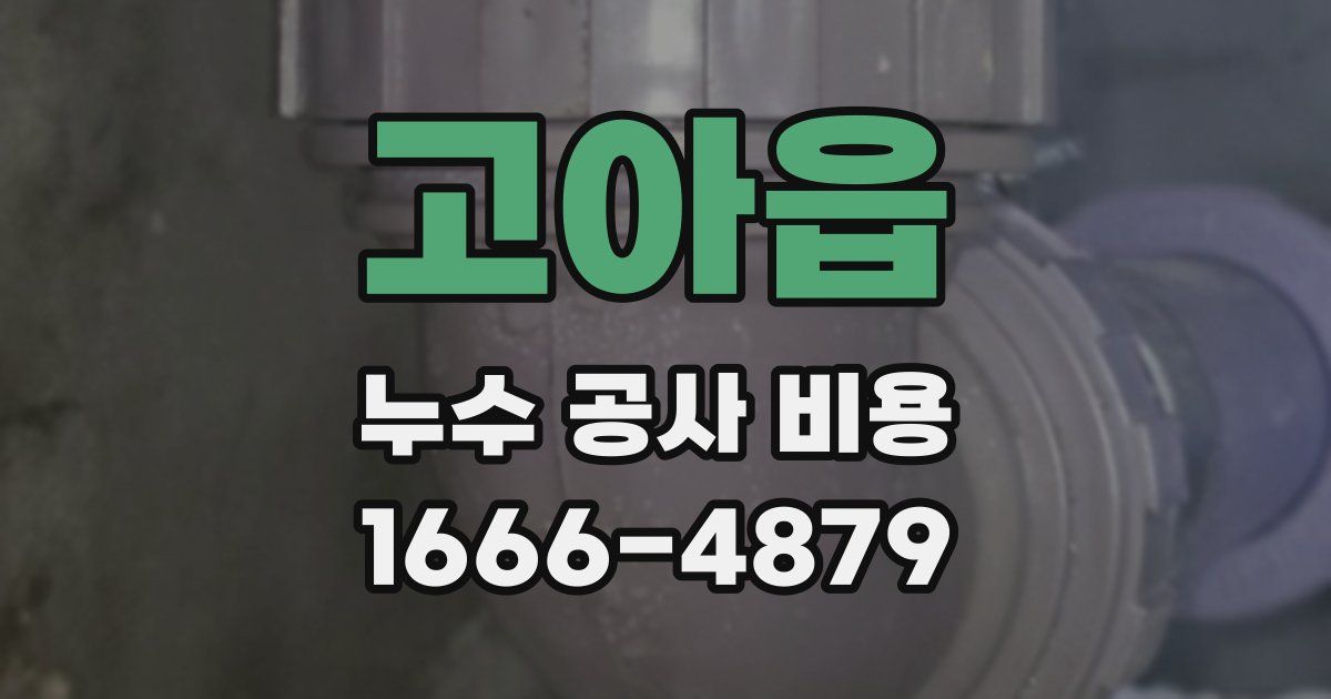 고아읍 누수 공사 비용